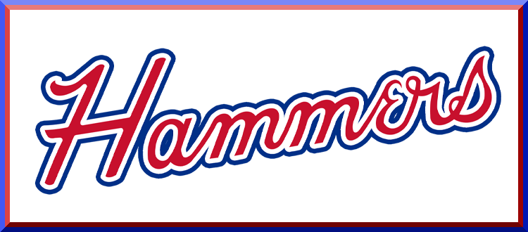 Los Angeles Kings Wordmark Logo - National Hockey League (NHL) - Chris  Creamer's Sports Logos Page 