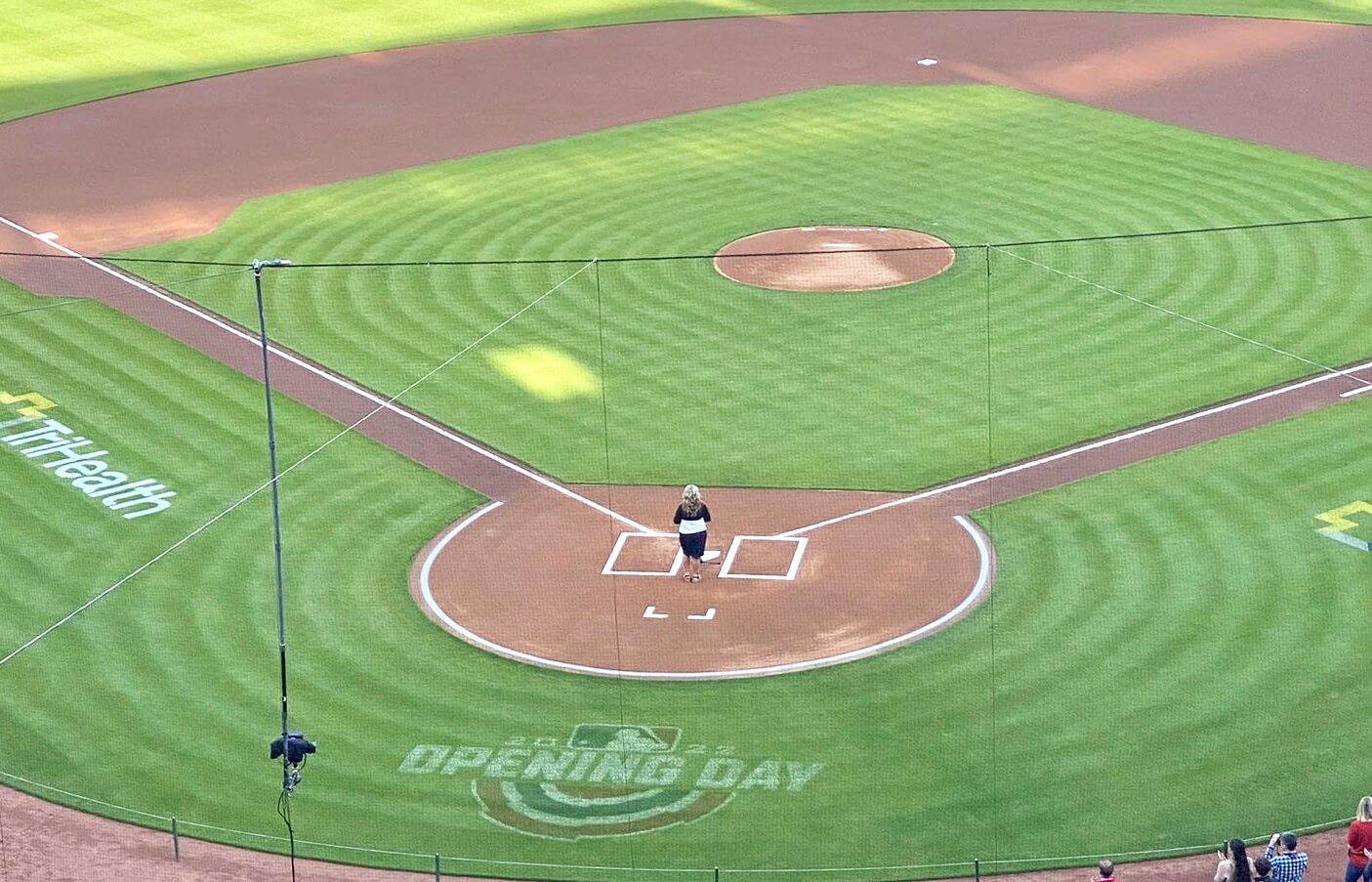 Rays Chalk Box  Tampa Bay Rays